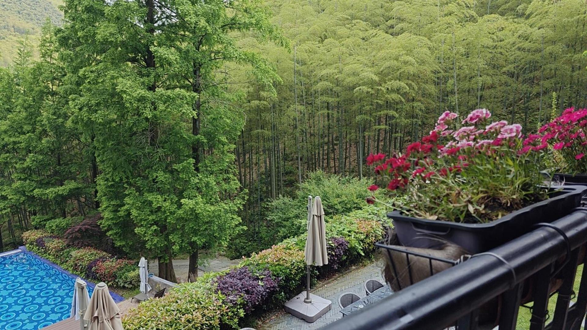 Moganshan Arcadia Resorts Deqing Exterior photo